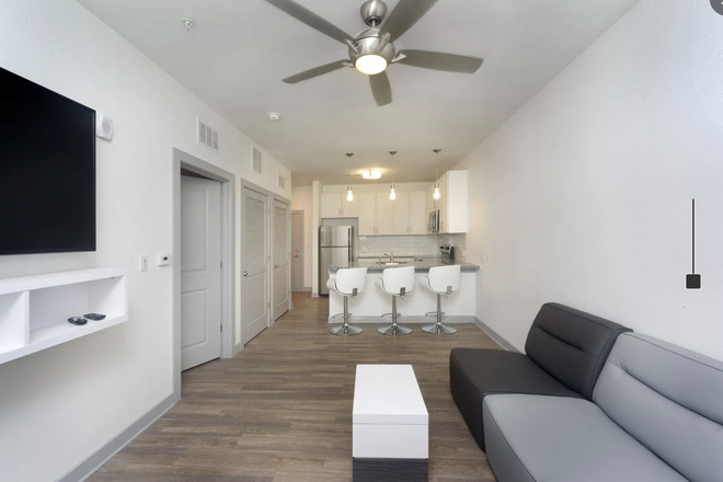 Living Room to Kitchen View - LOCATION!!! 1/1 Modern APT Near Campus