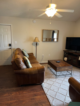 Living room - 3 bedroom, 3 bathroom apartment close to campus and Lake Hartwell