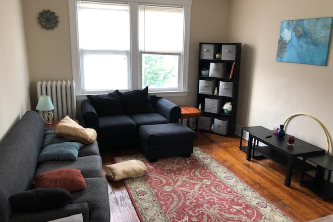 Living Room (some things have changed) - 1 roommate needed for 3br/2ba apartment 20min walk from main campus