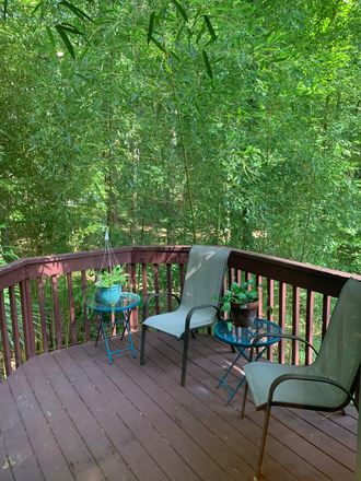 Balcony deck - Airy, spacious house near Duke, 2 big parks, green path, Farmer's market, &  downtown