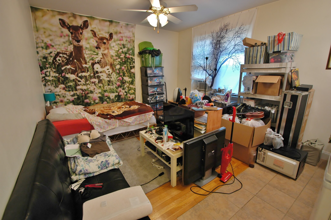 Studio - 24 Haviland St. - NO BROKER'S FEE! COMFORTABLE STUDIO on 24 Haviland St. - Avail 9/01 Apartments