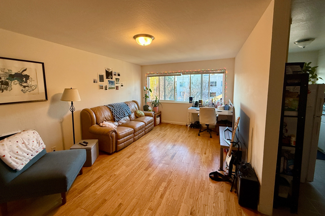 Large, bright living room - Double room in Southside apartment