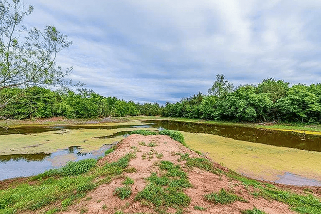 Pond - Room for rent, countryside oasis with stocked pond, livestock opportunities House