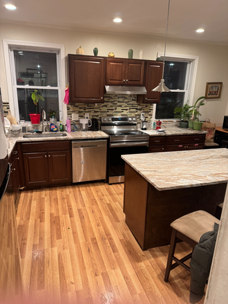 Kitchen - Furnished sublet 2 green line stops from campus. Beautiful king bed. Apartments