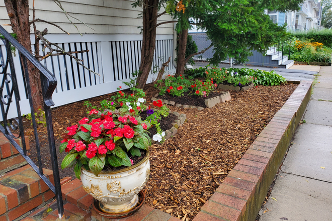 Front Garden - Seeking Roommate For 3 Bedroom Somerville: Porter/Davis/Magoun Square
