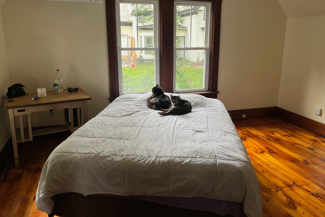 Bedroom 1 for rent (more photos coming soon) - Spacious room(s) w/ private bath in large LGBTQ-friendly house, Jan-Jun flexible lease