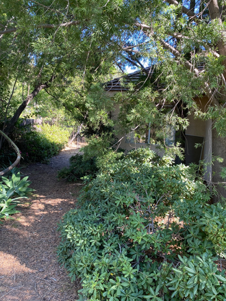 Side of the house - Private Room, private bath, walk to UCR House