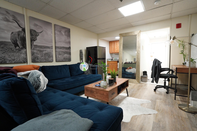 1 - MAY/JUNE/JULY/AUG/SEPT-Fantastic Studio amd 1 bed, Pets ok. Elevator, No Broker Fee! Apartments