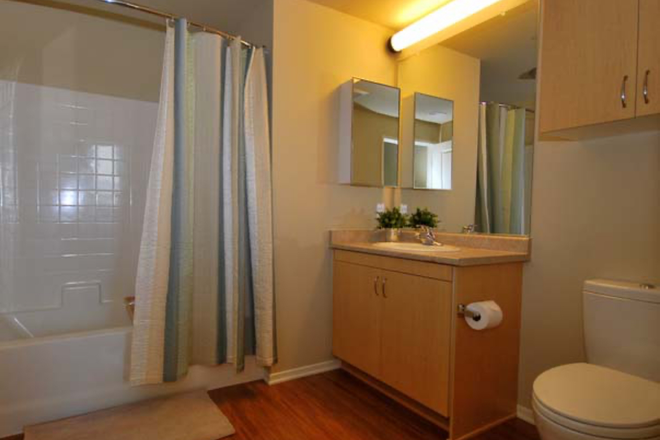 Bathroom of the unit - PUERTA DEL SOL 2 BED 2 BATH SHARED UNIT Apartments