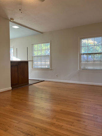 Living area with view of the trees. - Treetop apartment walking distance to Rice U.