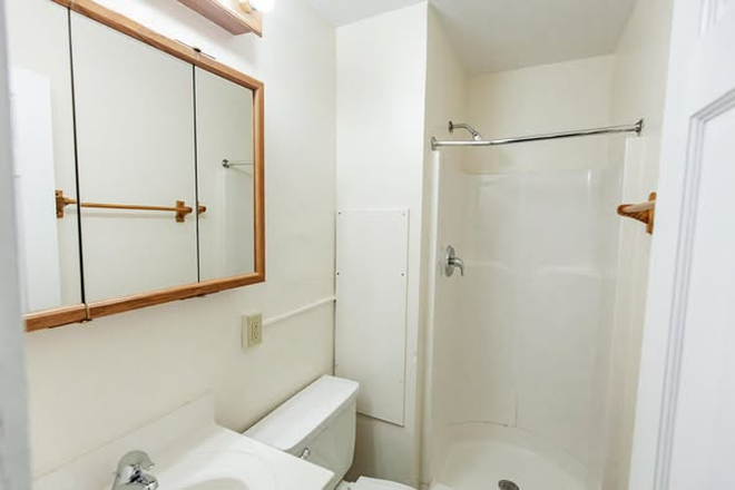First floor bathroom - 334 Michigan Ave - Large Group House NEED ONE MORE PERSON
