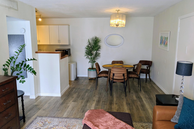 Spacious, open flow - $2600 for JUNE PERIOD. VISITING MED STUDENTS: Steps from Shands. Ready for Rotations.