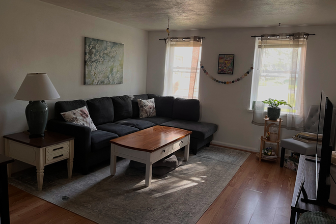 Living room with 2 windows and great natural light - Summer Sublease For June/July - Walkable to VT Campus and Downtown