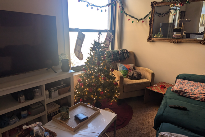 Living Room - 2 Bedroom 2 Bath Close to Campus/Downtown, Looking for 1 Roommate