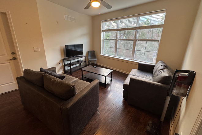 Living room - The Standard Apartments