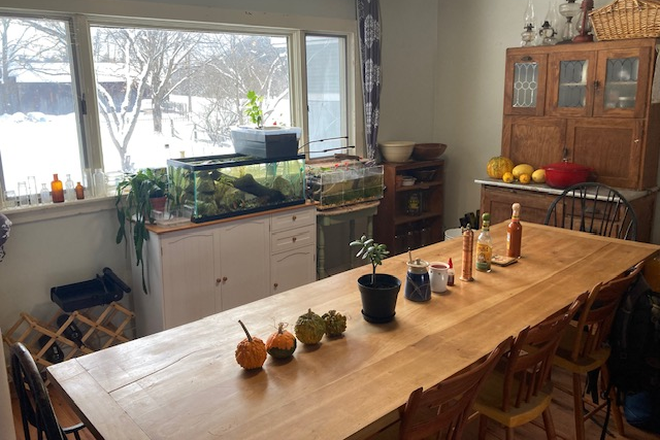 Dining Room - Room in Fully Furnished Shared House