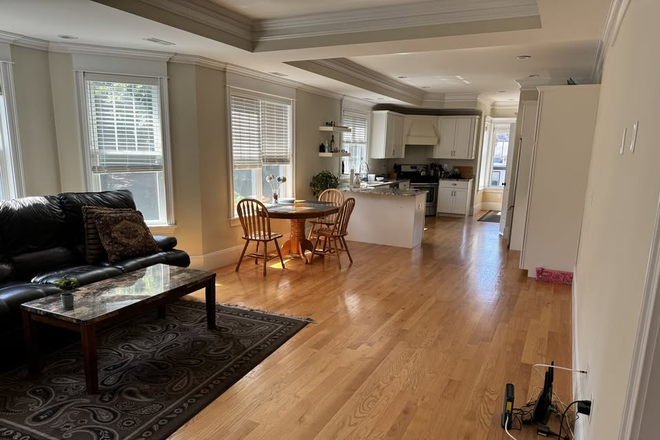 living room - 1 Master Suite Available in a Beautiful 4BR/3BA Apartment Starting September 1 - Davis Square