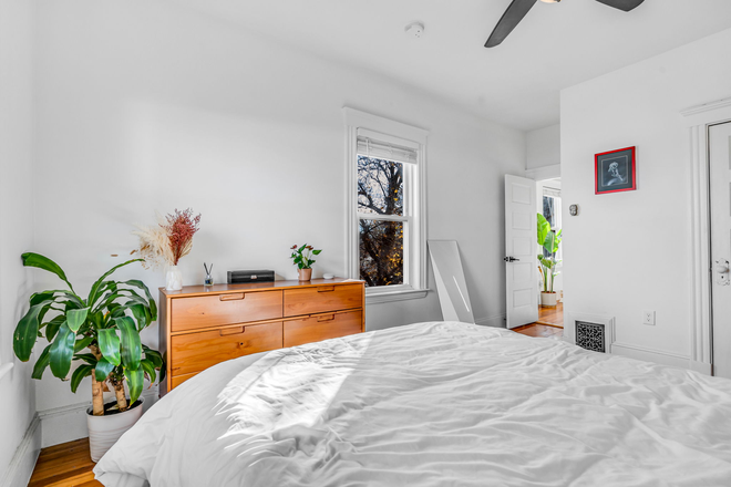 Bedroom - Lovely 2 bed/1 bath Savin Hill Apartment