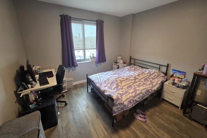 Your room - Looking for roommate: gorgeous, sunlit room in modern 2B, Central Square, 7/1 move-in Apartments