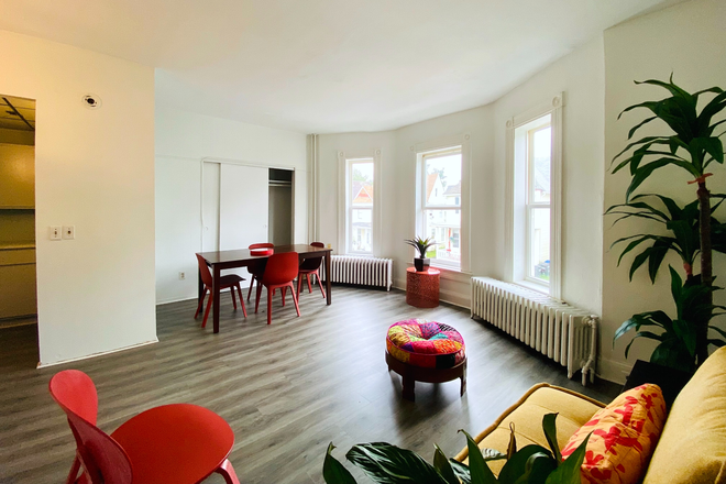 open concept living dining area - furnished option - 1 Bed1 Bath light filled apartment in Better Waverly