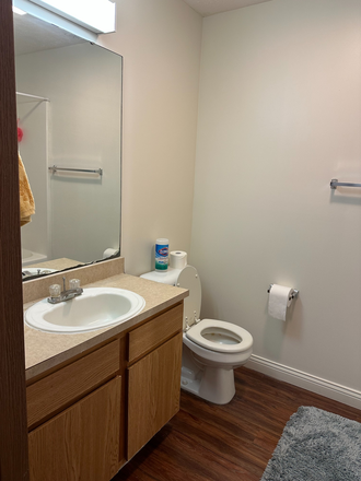 Full Bathroom - Bright & Large two-bedroom 1.5 baths within walking distance to campus Apartments