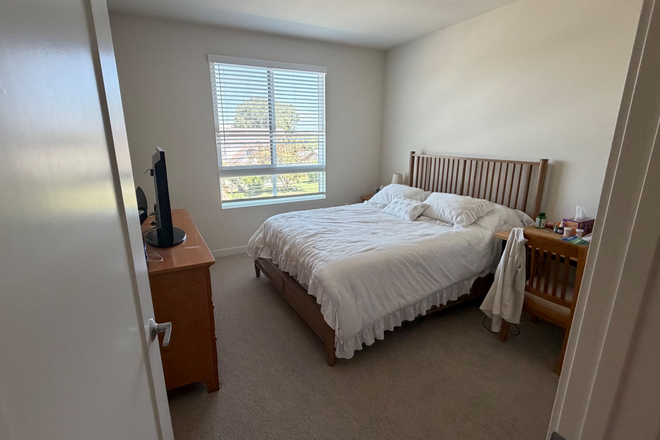 Master bedroom (lease) - North Grove Apartments