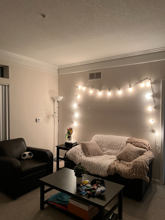 Living room - Sublease at The Flats