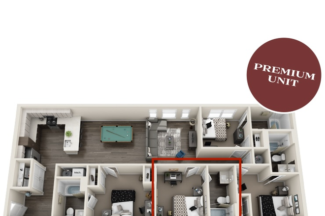 Room available for sublease - One Bedroom for sublease in The Standard Tampa 4x4 unit Apartments