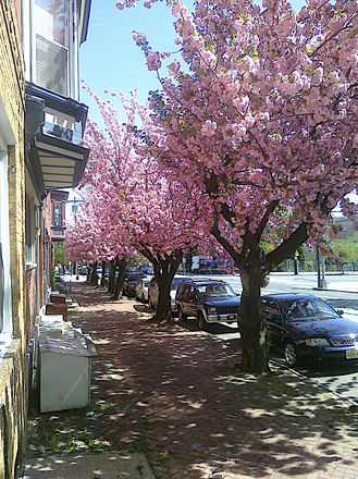 Outside Street view - $995 / 1br - $995 - Lovely Semi Furnished Studio Available Now ((37th & Lancaster UNIVERSITY CITY)) Apartments