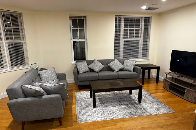 Living Room - 12 month lease: 1st floor in two-story 3BD/2BR, 15 min commute to NE, BWH; Furnished! Condo