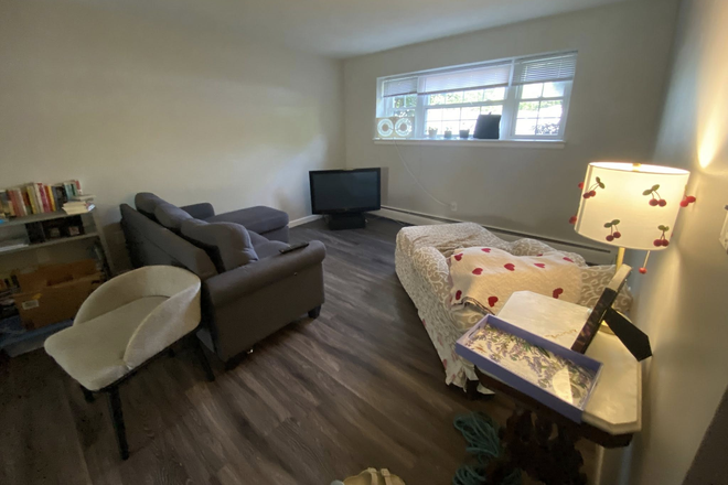 Living Room - ISO a Young Professional Female Roommate