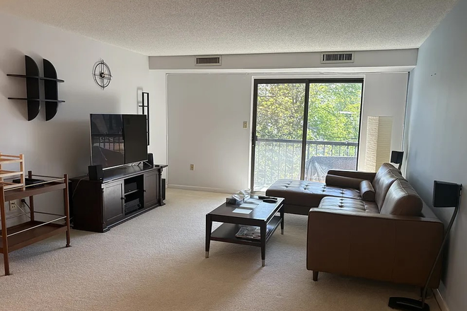 Living room - Furnished, Renovated Apt Next To Porter Square