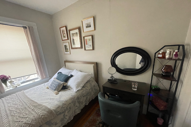 Bedroom Sublet - Apt 5 minutes from NEU Campus