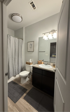 Bathroom - The Ascent - Great apartment, across from CCU - available for August!