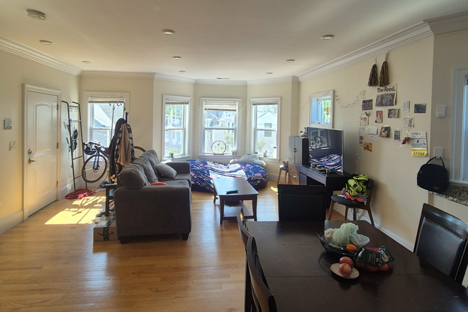 Living room - 1 spacious, large bedroom in newly renovated apartment in Sommerville ($1415/mo)