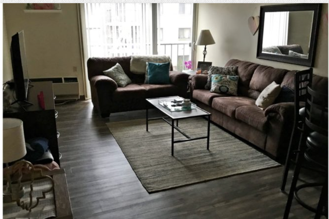 ARPM living room photo - The Collegian ARPM Apartments