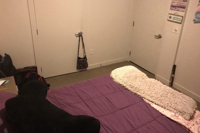 bedroom door - Parkwest 4X4 towers