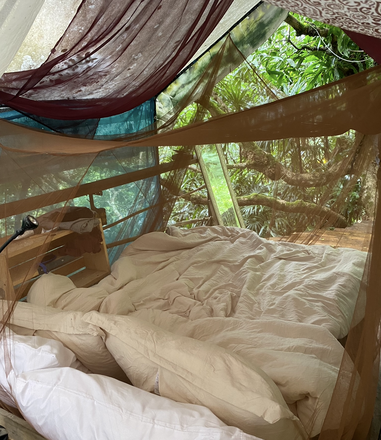 The Pirie Deck inside the sleeping area - other rooms are for your office and clothes - Great household – welcome visitors friends house guests kids – bananas mangoes taro luau – Palolo