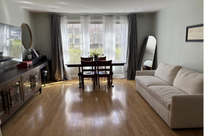 Living Room/Dining Area - Cambridgeport Condo