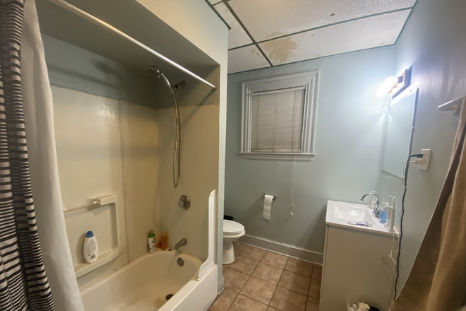 apartment - BU/Allston/5 bedroom/2 bathroom