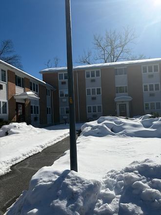 outside view, apt is bottom left of center building - Roommate wanted in sunny 2 br in Presidential Apts. close to campus with parking