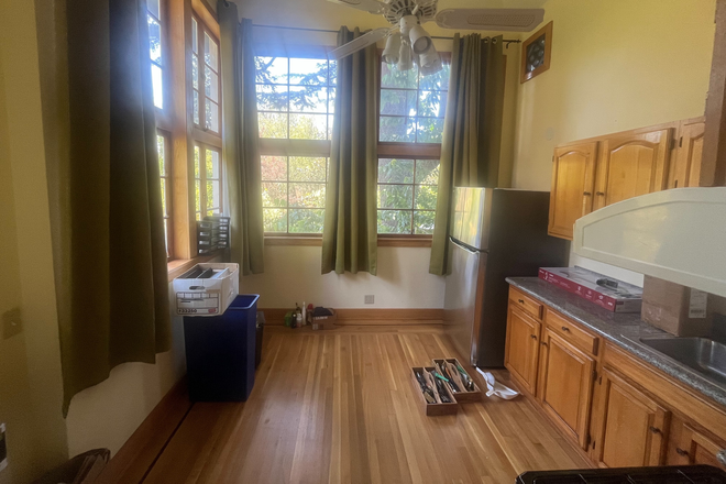 Kitchen facing backyard - Quiet Live Oak Park Full Apartment