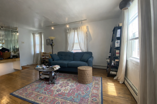 living room - lovingly maintained peaceful oasis in East Falls/Manayunk/Mount Airy Duplex