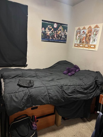 Bedroom - 4050 Lofts Girls Room Available in 4x4!