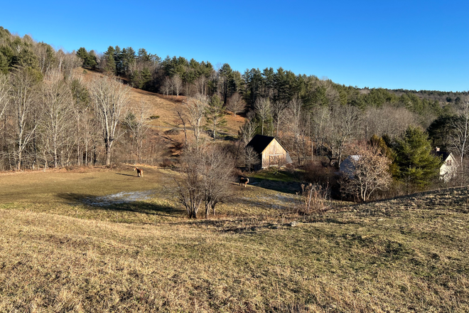 View from the hill behind the house - SUNNY NORWICH STUDIO ON HORSE FARM House