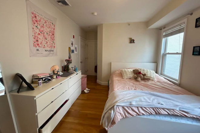 Bedroom - Available room with private bath in 3 bed, 2 bath in between Coolidge Corner and Brookline Village