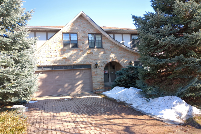 Outside street view - Furnished Basement Apartment in Beautiful House in Safe, Excellent Area. Good access to TTC