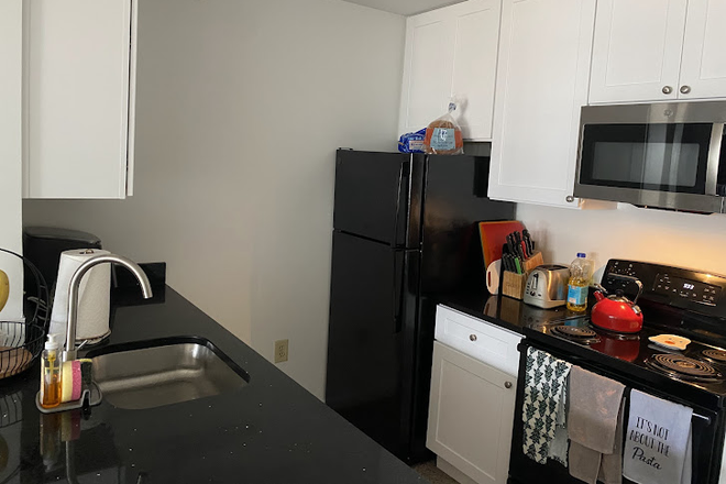 Kitchen, black marble counters, fridge and freezer, ample cabinet space - South Campus Commons, Building 1 Apartments