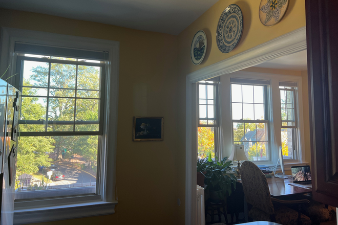 Kitchen window (left) and living room window (right) - Cathedral Views and European Elegance in the heart of DC Condo