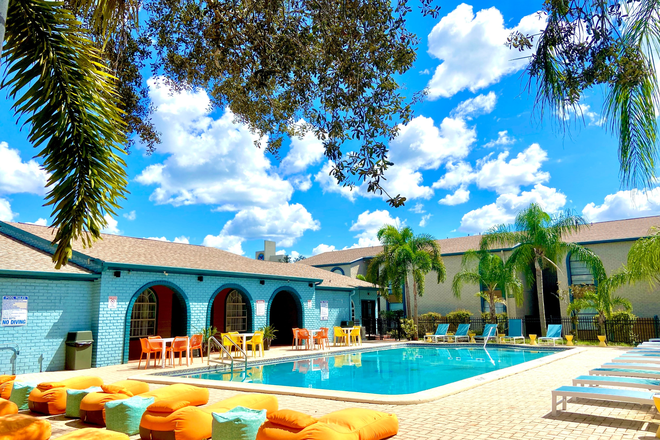 Olympic Style Swimming Pool - College Town at USF Apartments